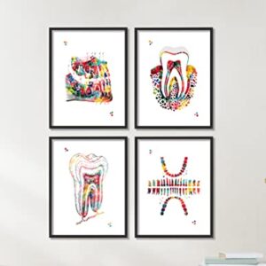 Dental Watercolor Art Prints Orthodontist Dentist Dentistry Assistant Student Wall Art Decor Gifts Dental Office Wall Art Decor Dental Hygienist Gifts 8x10 Unframed Print Set