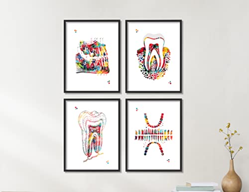 Dental Watercolor Art Prints Orthodontist Dentist Dentistry Assistant Student Wall Art Decor Gifts Dental Office Wall Art Decor Dental Hygienist Gifts 8x10 Unframed Print Set