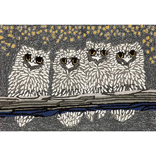 Liora Manne Frontporch Indoor Outdoor Rug - Novelty Design, Hand Hooked, Weather Resistant, UV Stabilized, Foyers, Porches, Patios & Decks, Owls, 2' x 3'