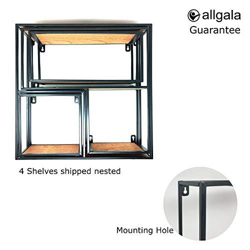 Allgala 4-PC Set Wall Mount Creativity Black Metal Frame Wood Finish Floating Shelves