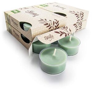 bayberry fir premium tealight candles bulk pack – highly scented with essential oils – 24 green tea lights – beautiful candlelight – made in the usa – christmas & holiday collection