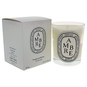 diptyque ambre candle-6.5 oz, black (i0004921), standard, spice