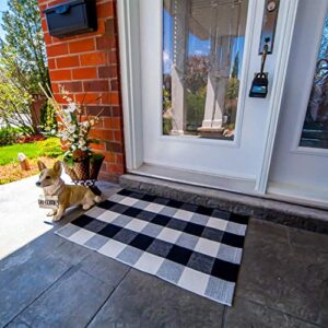 Buffalo Plaid Door Mat Outdoor - Checkered Rug for Outdoor Layering Rug 24x36 Inches, Woven Rug Outdoor for Front Porch Mat, Black and White Buffalo Plaid Outdoor Rug, Buffalo Plaid Porch Rug