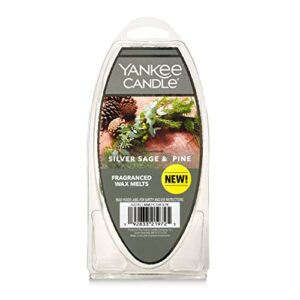yankee candle silver sage & pine 6-pack fragranced wax melts