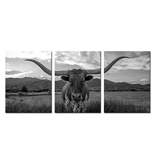 iKNOW FOTO Farm Animals Art Prints Black and White Highland Cattle with Long Horns Picture Printed on Canvas Painting for Home Decor Modern Living Room Decorations Framed Ready to Hang 12x16inchx3pcs
