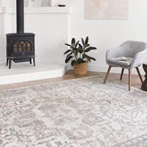 Loloi II Dante Collection DN-05 Ivory/Stone, Transitional Area Rug, 6'-7" x 9'-2"