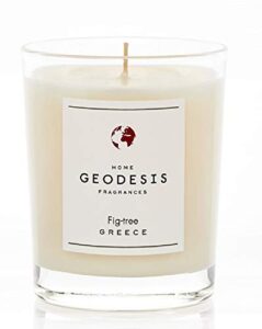 geodesis scented candle fig tree 7.8 ounces