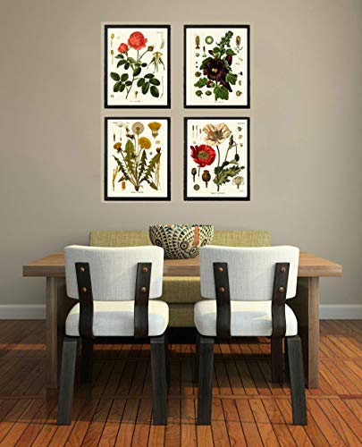 Botanical Flower Set of 4 Art Prints Antique Beautiful Red Rose Poppy Large Black Hollyhock Dandelion Spring Summer Garden Home Room Wall Decor Unframed KOH