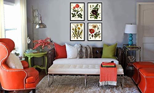 Botanical Flower Set of 4 Art Prints Antique Beautiful Red Rose Poppy Large Black Hollyhock Dandelion Spring Summer Garden Home Room Wall Decor Unframed KOH