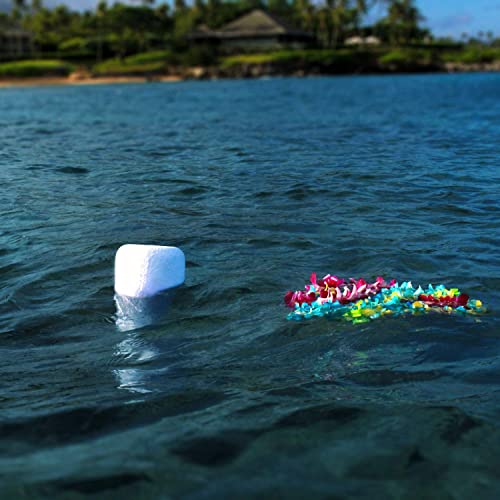 Eco Water Urn: Biodegradable Urn for Water Burial, Burial at Sea