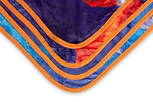 Dragon Ball Super Fighters & Warriors Fleece Throw Blanket | Features Beerus, Whis, & The Legendary Dragon Ball Warriors | 60 x 45 Inches