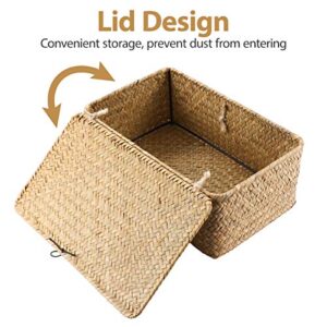 Vosarea Rattan Storage Basket Makeup Organizer Multipurpose Container with Lid 23x13x8cm(S)