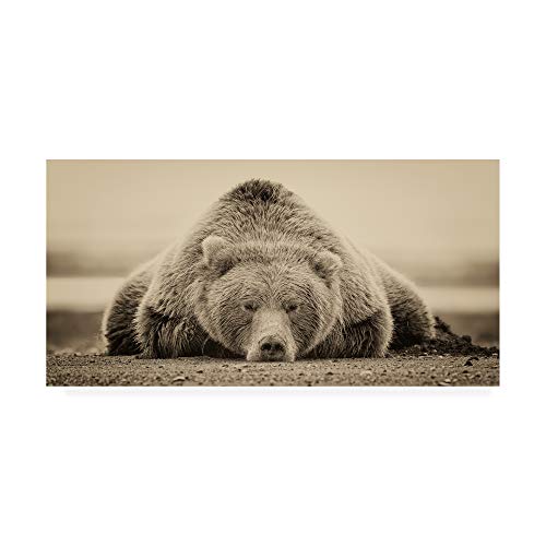 Trademark Fine Art Deep Sleep by PHBurchett, 24x47, Black