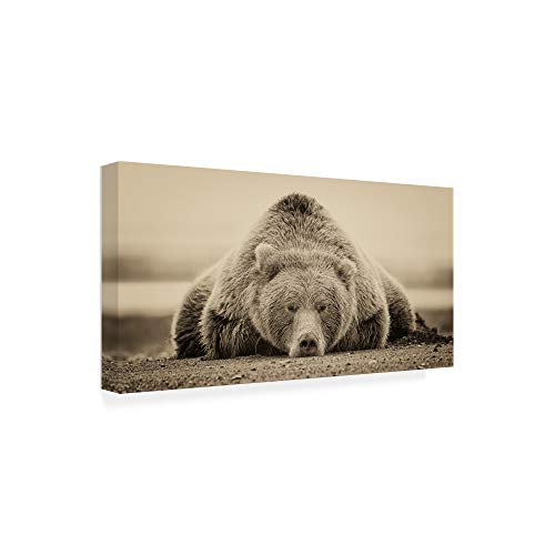 Trademark Fine Art Deep Sleep by PHBurchett, 24x47, Black