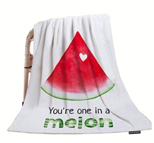 hgod designs watermelon throw blanket,fresh bright red watermelon quote you are one in a melon soft warm decorative throw blanket for baby toddler or pets cat dog 30″x40″