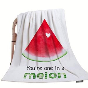 HGOD DESIGNS Watermelon Throw Blanket,Fresh Bright Red Watermelon Quote You are One in A Melon Soft Warm Decorative Throw Blanket for Baby Toddler or Pets Cat Dog 30"X40"