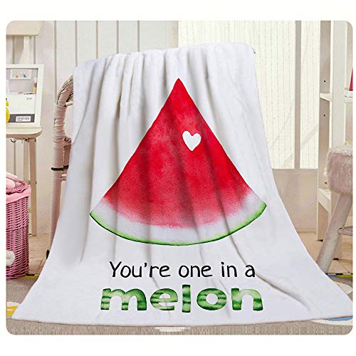 HGOD DESIGNS Watermelon Throw Blanket,Fresh Bright Red Watermelon Quote You are One in A Melon Soft Warm Decorative Throw Blanket for Baby Toddler or Pets Cat Dog 30"X40"