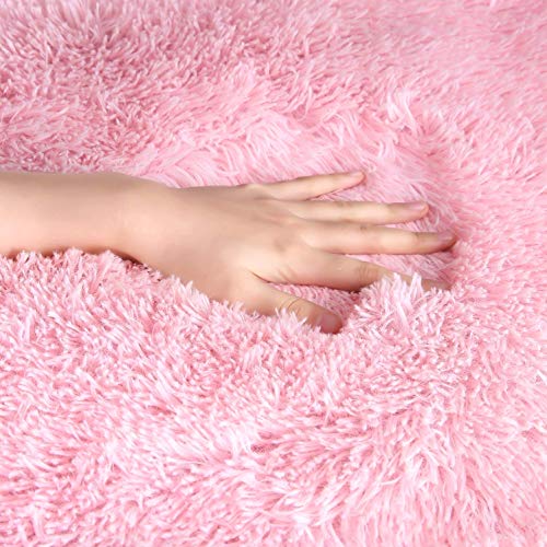 YOH Fluffy Pink Area Rugs for Bedroom Girls Rooms Kids Rooms Nursery Decor Mats 2.6’x5.3’