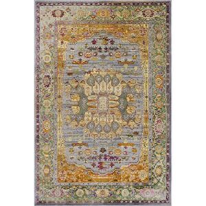 pierre cardin cosmos collection oriental design area rugs for living room carpets (5′ x 8′, multi (cs18a))