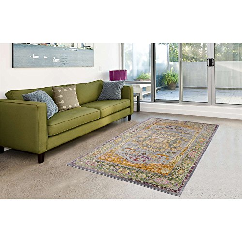 Pierre Cardin Cosmos Collection Oriental Design Area Rugs for Living Room Carpets (5' x 8', Multi (CS18A))