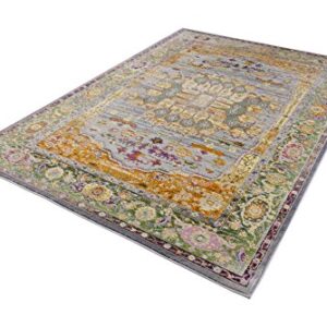 Pierre Cardin Cosmos Collection Oriental Design Area Rugs for Living Room Carpets (5' x 8', Multi (CS18A))