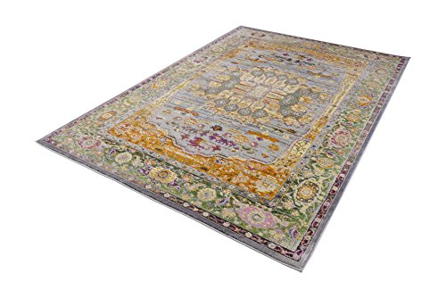 Pierre Cardin Cosmos Collection Oriental Design Area Rugs for Living Room Carpets (5' x 8', Multi (CS18A))