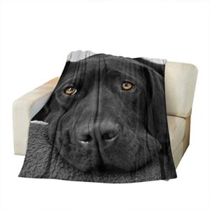 Moslion Soft Cozy Throw Blanket Black Lab Labrador Fuzzy Couch/Bed Blanket for Adult/Youth Polyester 40 x 50 Inches(Home/Travel/Camping Applicable)