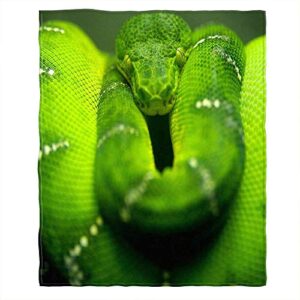 moslion soft cozy throw blanket green snake wild animal fuzzy couch/bed blanket for adult/youth polyester 30 x 40 inches(home/travel/camping applicable)