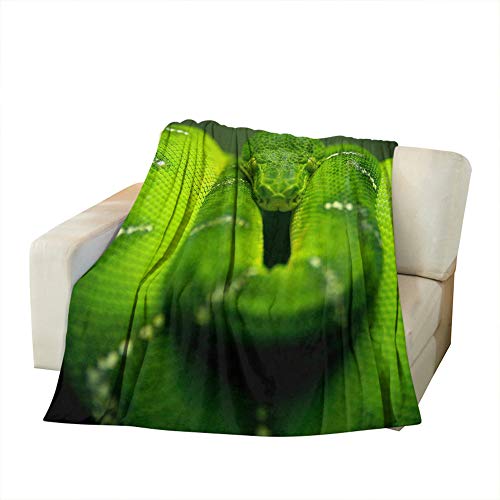 Moslion Soft Cozy Throw Blanket Green Snake Wild Animal Fuzzy Couch/Bed Blanket for Adult/Youth Polyester 30 X 40 Inches(Home/Travel/Camping Applicable)