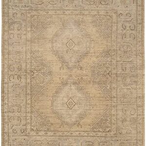 SAFAVIEH Izmir Collection 9' x 12' Gold / Grey IZM180A Hand-Knotted Traditional Premium New Zealand Wool Area Rug