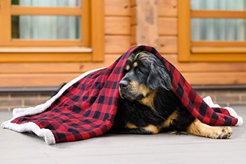 Eddie Bauer - Throw Blanket, Reversible Sherpa Fleece Bedding, Buffalo Plaid Home Decor for All Seasons (Red Check, Throw)