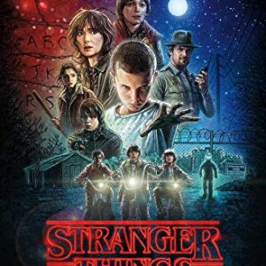 Trends International Netflix Stranger Things - One Sheet Wall Poster, 22.375" x 34", Unframed Version