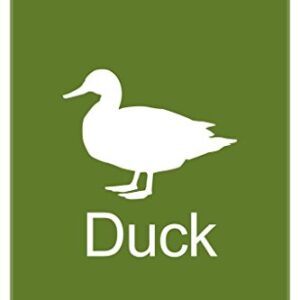 Farm Animal Duck Silhouettes Classroom Learning Aids Barnyard Farming Farm Green Thick Paper Sign Print Picture 8x12