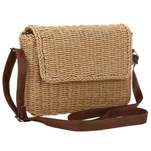 hand woven straw handbag tote rattan bag for women, summer beach shoulder bag weave vintage crossbody bag for women (khaki)