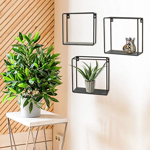 WHW Whole House Worlds Industrial Chic Box Floating Shelves, 3 Wall Mounted Pieces, Black Iron, 7 3/4, 7, and 6 Inches Square, Easy to Hang Wall, from The Loft Living Collection