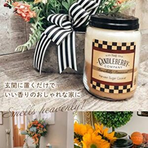 Candleberry Candles | Coconut Island Candle | Best Candles on The Market | Hand Poured in The USA | Highly Scented & Long Lasting | Large Jar 26 oz.