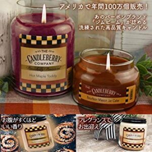 Candleberry Candles | Coconut Island Candle | Best Candles on The Market | Hand Poured in The USA | Highly Scented & Long Lasting | Large Jar 26 oz.