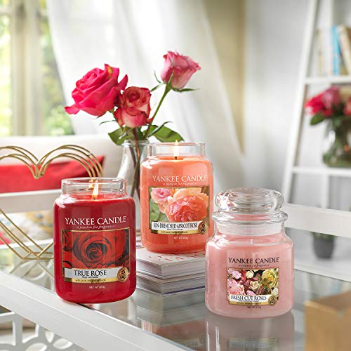 Yankee Candle 5038581033211 jar Large Sun-Drenched Apricot Rose YSDSAR, one Size, …