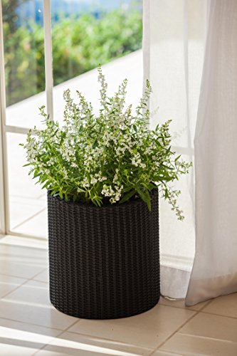 Keter Resin Wicker Cylinder Flower Pot Set of 3 Small, Medium, and Large Planters with Drainage Plugs for Outdoor or Indoor Plants, Charcoal Grey