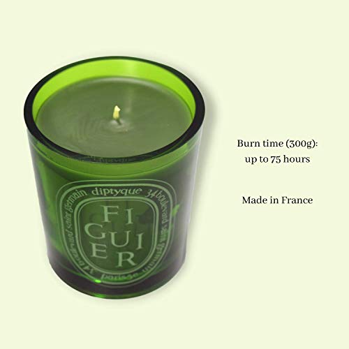 Diptyque Green Figuier Candle-10.2 oz, Green