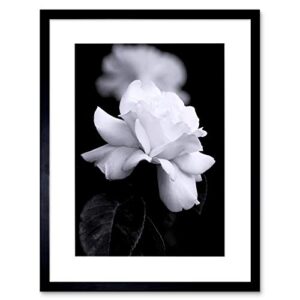 the art stop photo nature black white rose petal flower framed print f12x4204