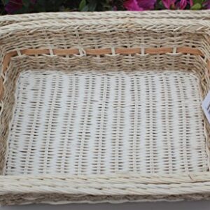 RT450180-2 Handwoven Retangular Wicker Storage basket with Handle in cream and brown (Set of 2)