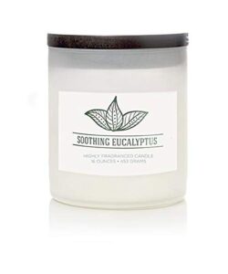 colonial candle soothing eucalyptus scented jar candle, wellness collection, 2 wick, 16 oz – up to 120 hours burn