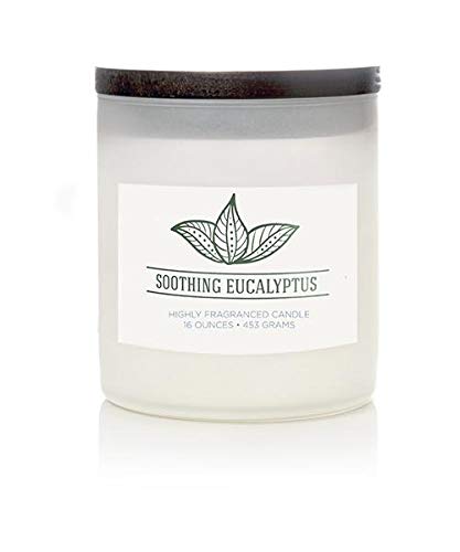Colonial Candle Soothing Eucalyptus Scented Jar Candle, Wellness Collection, 2 Wick, 16 oz - Up to 120 Hours Burn
