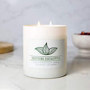 Colonial Candle Soothing Eucalyptus Scented Jar Candle, Wellness Collection, 2 Wick, 16 oz - Up to 120 Hours Burn