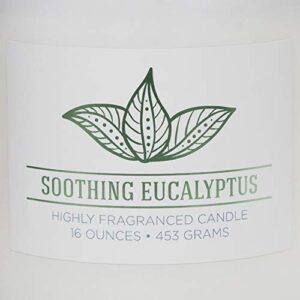 Colonial Candle Soothing Eucalyptus Scented Jar Candle, Wellness Collection, 2 Wick, 16 oz - Up to 120 Hours Burn