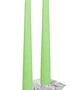 Hyoola 12 Pack Tall Taper Candles - 10 Inch Celery Green Dripless, Unscented Dinner Candle - Paraffin Wax with Cotton Wicks - 8 Hour Burn Time