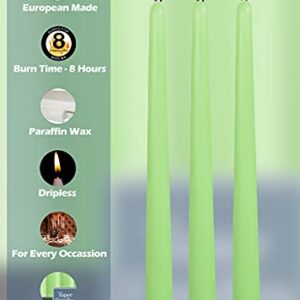 Hyoola 12 Pack Tall Taper Candles - 10 Inch Celery Green Dripless, Unscented Dinner Candle - Paraffin Wax with Cotton Wicks - 8 Hour Burn Time