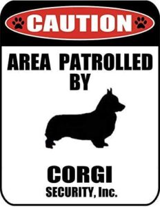 metal tin sign caution area patrolled by a corgi dog sign metal aluminum sign for wall art 8×12 inch