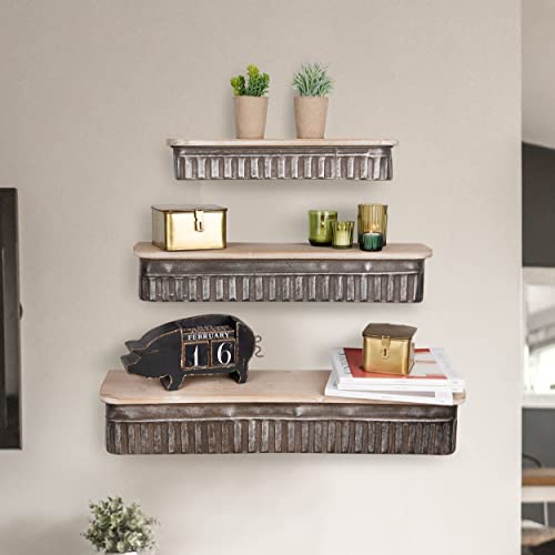 Creative Co-Op Metal & Wood Wall Shelves (Set of 3 Sizes)